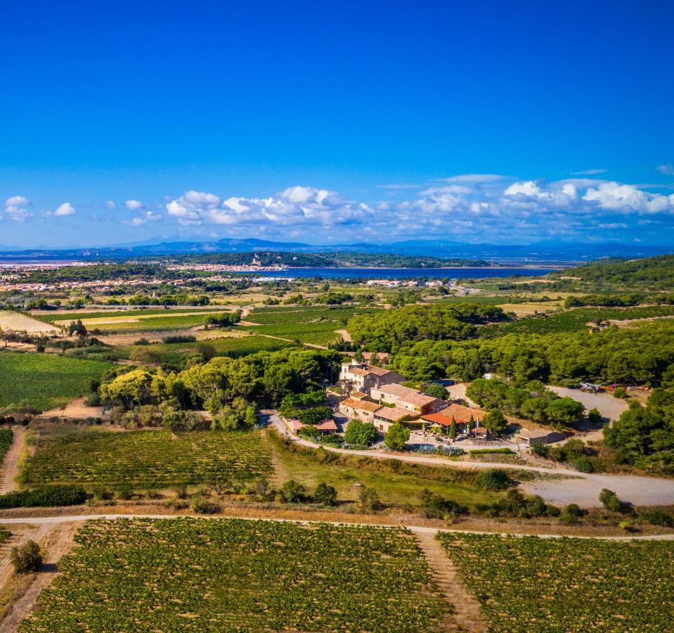 Chateau Le Bouis Gruissan Dış mekan fotoğraf